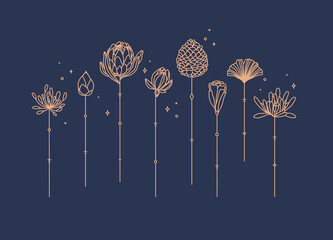 Flowers long stem drawing in art deco style on blue background