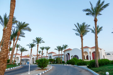 Fototapeta na wymiar Palm trees along the road leading to a large hotel.