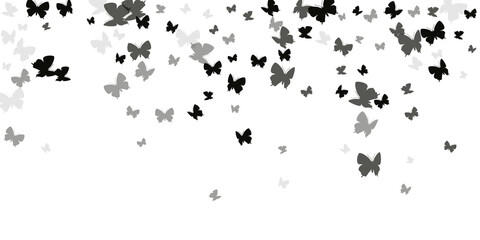 Magic black butterflies abstract vector illustration. Spring ornate insects. Decorative butterflies abstract children wallpaper. Gentle wings moths patten. Garden beings.