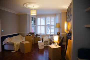 Moving boxes in living room