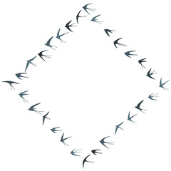 Flying swallow birds silhouettes vector illustration. Migratory martlets bevy isolated on white.