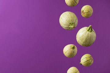 Round zucchini squash pumpkins floating or falling for colorful autumn October card. Minimal concept.