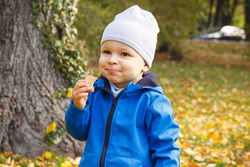 Little baby boy eating biscuit or cookies in autumn park. Dessert for kids