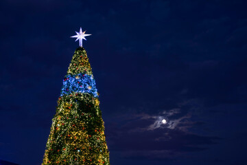 christmas tree with stars