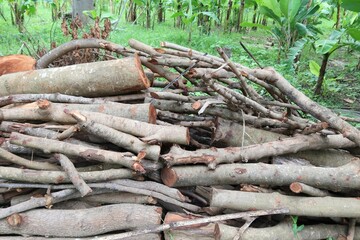 pile of firewood