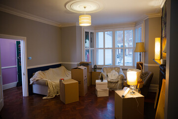 Moving boxes in living room
