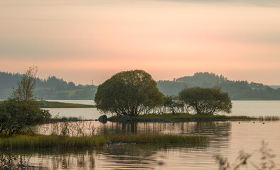Fototapeta premium sunset over lake