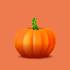 Group of pumpkins on white background.Autumn pumpkin with fall leaves in September. Isolate vector illustration of pumpkin for Autumn season