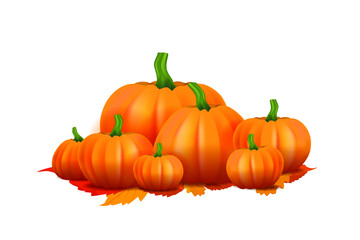 Group of pumpkins on white background.Autumn pumpkin with fall leaves in September. Isolate vector illustration of pumpkin for Autumn season