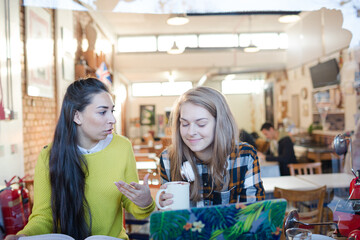 Young female college students studying at laptop in cafe window