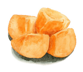 アナログ水彩皮をむいて切った種なし柿