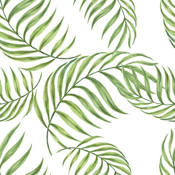 Leaves tropical jungle watercolor hand drawn illustration. Print textile patern seamless set separately on white background wildlife