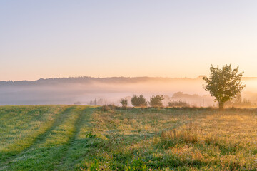 Polna droga © Szymon