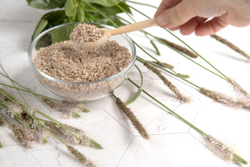 A woman's hand with a wooden spoon with psyllium seed husk, a useful superfood. The concept of plant fiber