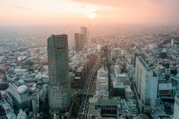 Tokyo city skyline at sunset.