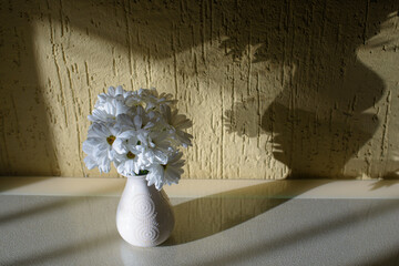 view of vase with bouquet of white flowers near wall in sunshine 