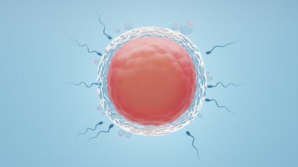 Sperm swimming fertilize the ovum in a blue background. 3D Illustration Rendering. - obrazy, fototapety, plakaty