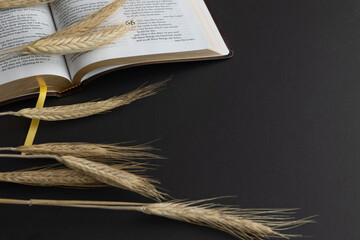 Open bible with ears of wheat on black background with copy space