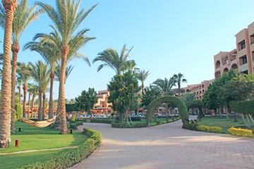 Obraz premium Grassy lawn among palm trees at resort. Hotel with well-groomed territory