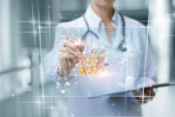 Doctor working with skin anatomy on a virtual computer screen .