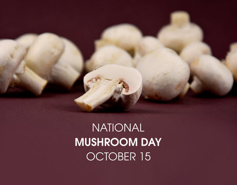 National Mushroom Day stock images. Pile of white champignon mushrooms isolated on a brown background stock images. Mushroom Day Poster, October 15. Important day