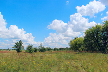 Fototapeta na wymiar Summer landscape with rural field and white clouds on blue sky