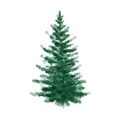Fir tree isolated on white