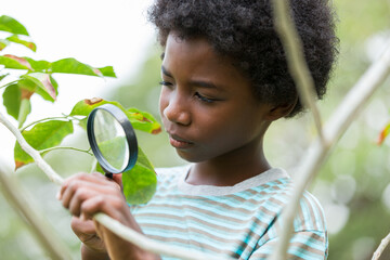 Happy African American boy looking at leaves through magnifying glass. Education, field trips, researcher and discovery concept