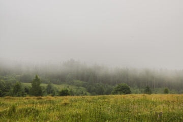 Fototapeta na wymiar Amazing view of nature with foggy weather forest and green field