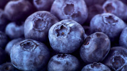 Blueberry close-up Fresh blueberries background