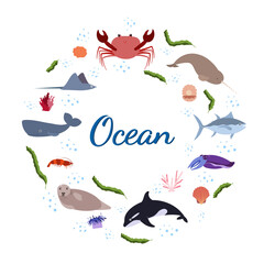 Design template with sea animal in circle for kid print. Round composition of marine animals, crab and seal, whale, shell with pearl. Vector set of underwater life in cartoon style.