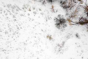 winter glade with trees in the snow top view, blurred image