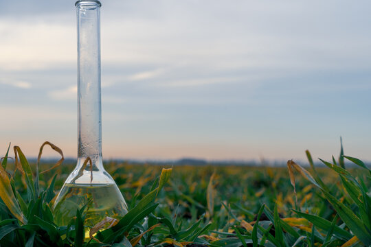 Image of a glass flask with a chemical solution on the background of young shoots of agricultural plants.