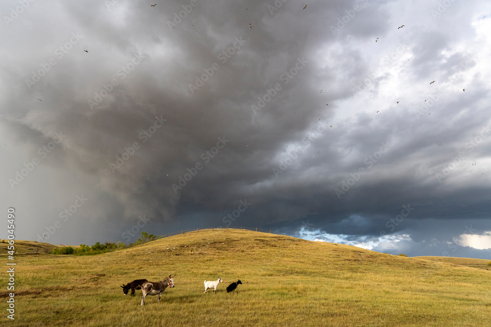 Wall mural Prairie Storm Canada