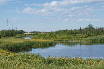 Pylypow Wetlands on a Late Summer Day
