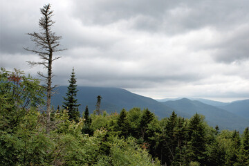 Gray threatening sky over White Mountains of New Hampshire. Scenic view of distant mountains (Scar Ridge and Black Mountain) with tall evergreen trees growing on nearby hillside.