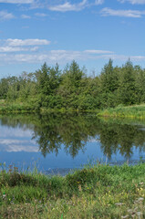 Fototapeta na wymiar Pylypow Wetlands on a Late Summer Day