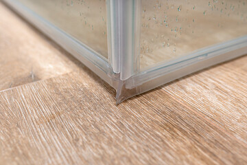 Seals in the lower part of the thresholdless shower enclosure, visible door corner.