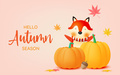 Pumpkins with autumn leaves background