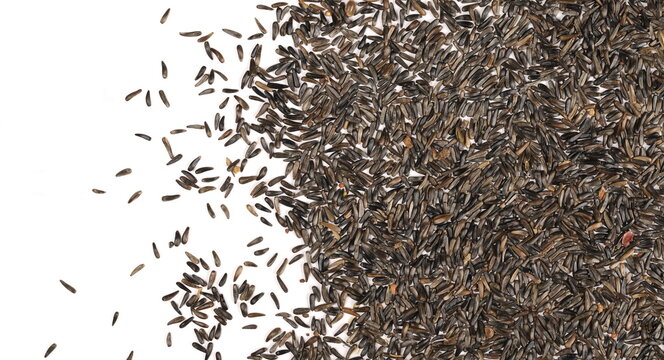 Pile bird niger seed (Guizotia abyssinica) isolated on white background, top view