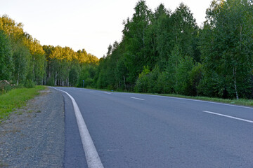 Asphalt high-speed highway in the forest in summer