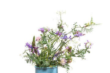 Beautiful wild flowers in blue vase isolated on white background