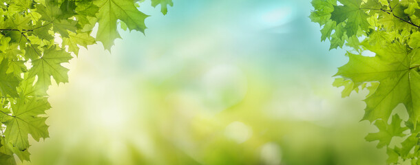 Green leaves background under blurred sunlight and sky with bokeh and copy space