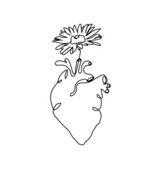 Human heart with chamomile one line set art. Continuous line drawing of internal organ and flowers.