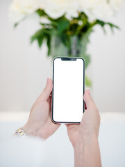 Phone in hand. Mockup. 