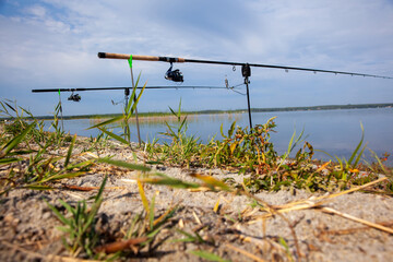 Two fishing rods on a stand with electronic bite alarm on the shore on a sunny summer day. Fishing bite alarm.