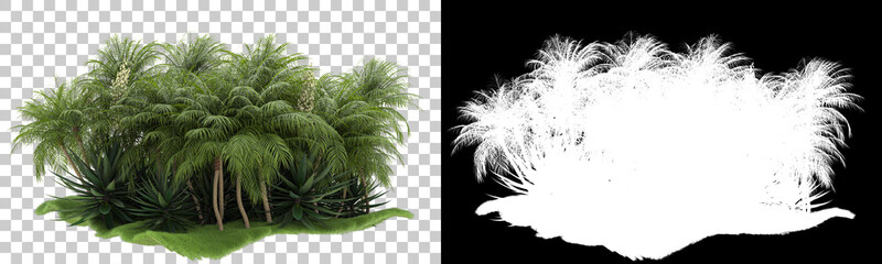 Tropical foliage isolated on background with mask. 3d rendering - illustration