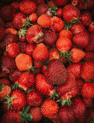 ripe red strawberry, strawberry gradient, plant red