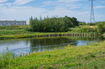 Pylypow Wetlands in Late Summer