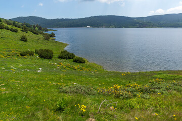 Fototapeta na wymiar landscape of Belmeken Dam, Rila mountain, Bulgaria